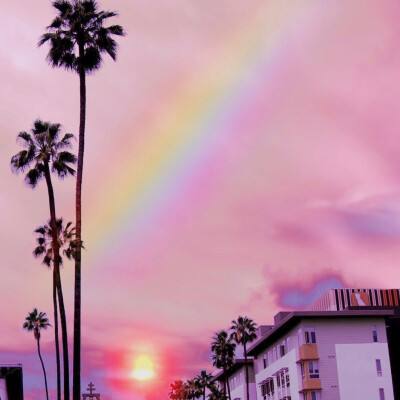 一码一肖100准资料应用下载手机版